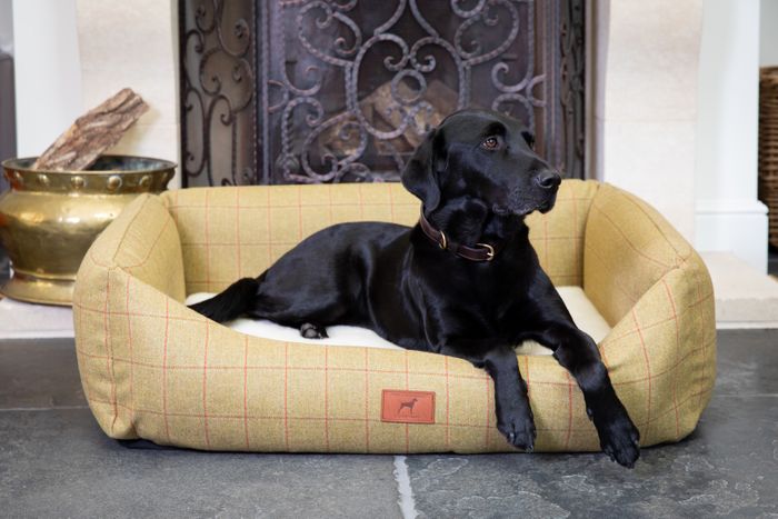 Luxury Dog Beds